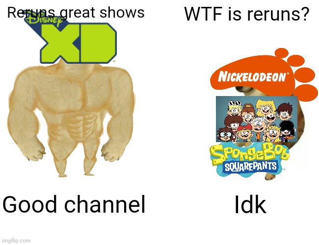 Idk | Reruns great shows; WTF is reruns? Good channel; Idk | image tagged in memes,buff doge vs cheems | made w/ Imgflip meme maker