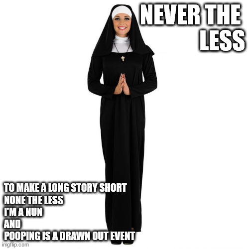 NEVER THE 
LESS; TO MAKE A LONG STORY SHORT
NONE THE LESS
I'M A NUN
AND
POOPING IS A DRAWN OUT EVENT | image tagged in exausting | made w/ Imgflip meme maker