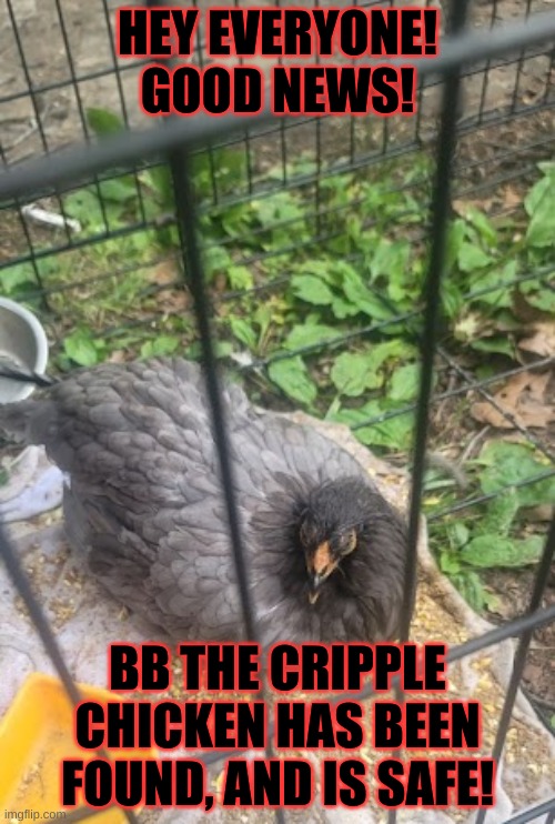 WOO! | HEY EVERYONE! GOOD NEWS! BB THE CRIPPLE CHICKEN HAS BEEN FOUND, AND IS SAFE! | image tagged in stay blobby | made w/ Imgflip meme maker