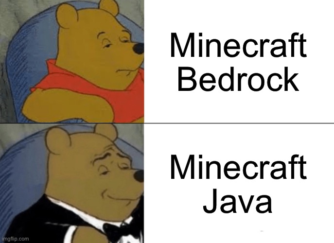 Tuxedo Winnie The Pooh | Minecraft Bedrock; Minecraft Java | image tagged in memes,tuxedo winnie the pooh | made w/ Imgflip meme maker