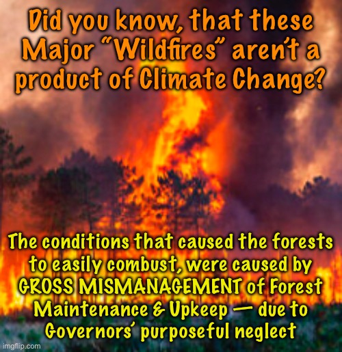 To fulfill the false narrative | Did you know, that these Major “Wildfires” aren’t a
product of Climate Change? The conditions that caused the forests
to easily combust, were caused by
GROSS MISMANAGEMENT of Forest
Maintenance & Upkeep — due to
Governors’ purposeful neglect | image tagged in memes,governors make it seem like that,they get to impose controls,and get major federal grants,money,fjb voters kissmyass | made w/ Imgflip meme maker