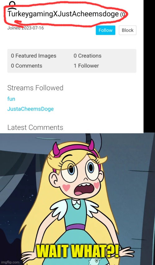 Shouldn't they be... Like... Enemies? | WAIT WHAT?! | image tagged in star butterfly shocked,memes,wait what,star vs the forces of evil,i spot a turkey alt | made w/ Imgflip meme maker
