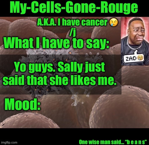 My-Cells-Gone-Rouge announcement | Yo guys. Sally just said that she likes me. | image tagged in my-cells-gone-rouge announcement | made w/ Imgflip meme maker