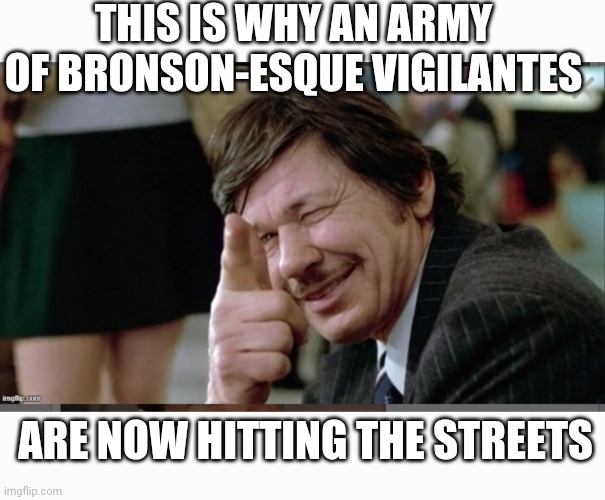 THIS IS WHY AN ARMY OF BRONSON-ESQUE VIGILANTES ARE NOW HITTING THE STREETS | made w/ Imgflip meme maker