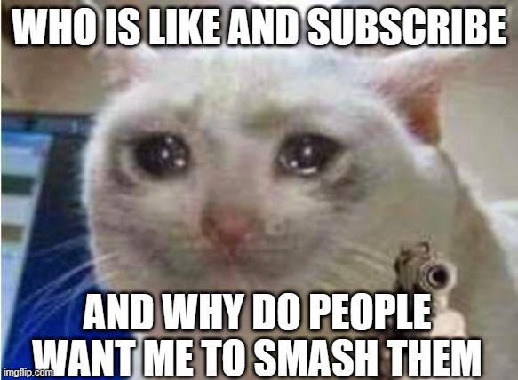 Sad cat with gun | WHO IS LIKE AND SUBSCRIBE; AND WHY DO PEOPLE WANT ME TO SMASH THEM | image tagged in sad cat with gun | made w/ Imgflip meme maker