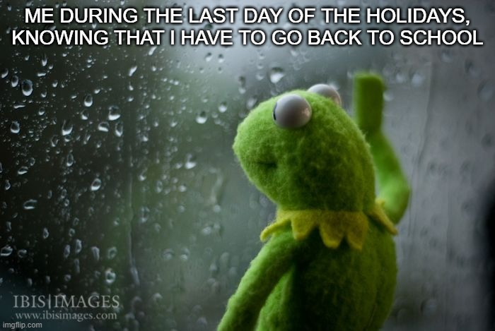 (╯°□°）╯︵ ┻━┻ | ME DURING THE LAST DAY OF THE HOLIDAYS, KNOWING THAT I HAVE TO GO BACK TO SCHOOL | image tagged in kermit window | made w/ Imgflip meme maker
