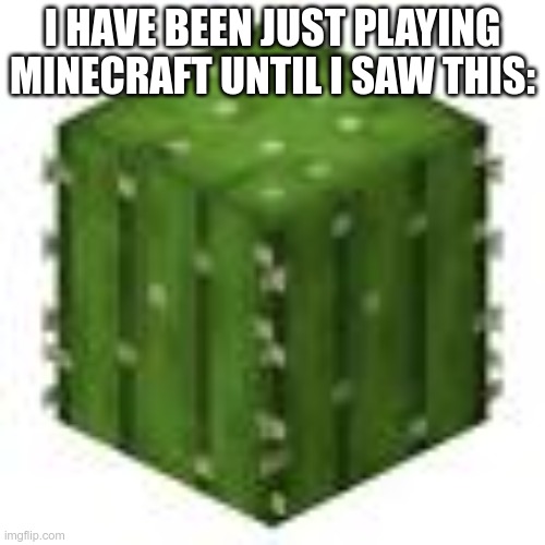 minecraft cactus | I HAVE BEEN JUST PLAYING MINECRAFT UNTIL I SAW THIS: | image tagged in minecraft cactus | made w/ Imgflip meme maker