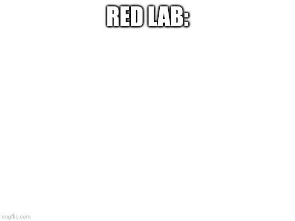 RED LAB: | made w/ Imgflip meme maker