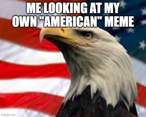 Murica Patriotic Eagle | ME LOOKING AT MY OWN "AMERICAN" MEME | image tagged in murica patriotic eagle | made w/ Imgflip meme maker