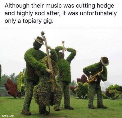 Hedge | image tagged in bad pun | made w/ Imgflip meme maker