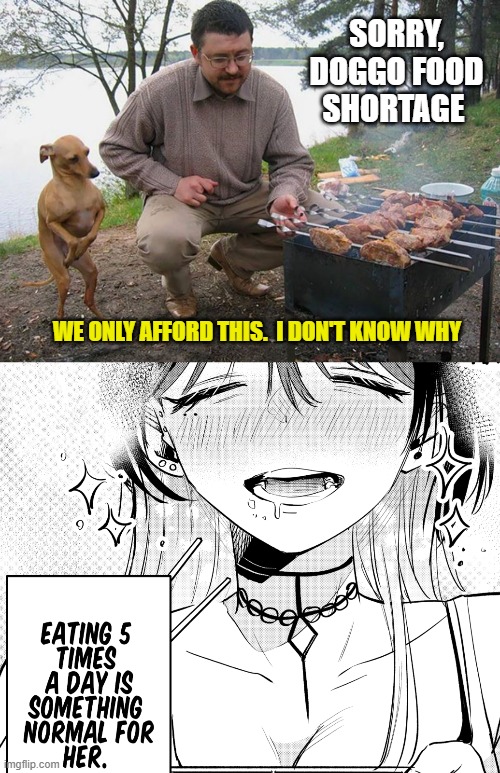 WORLD FACING HUNGER ISSUES | SORRY, DOGGO FOOD SHORTAGE; WE ONLY AFFORD THIS.  I DON'T KNOW WHY | image tagged in hungry dog begging for food,hot girl,hungry,food,poor | made w/ Imgflip meme maker