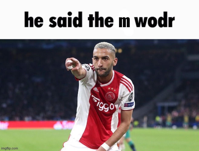 he said the m wodr | image tagged in he said the m wodr | made w/ Imgflip meme maker