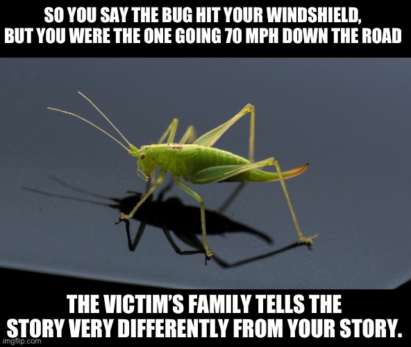 Bug | SO YOU SAY THE BUG HIT YOUR WINDSHIELD, BUT YOU WERE THE ONE GOING 70 MPH DOWN THE ROAD; THE VICTIM’S FAMILY TELLS THE STORY VERY DIFFERENTLY FROM YOUR STORY. | image tagged in irony | made w/ Imgflip meme maker