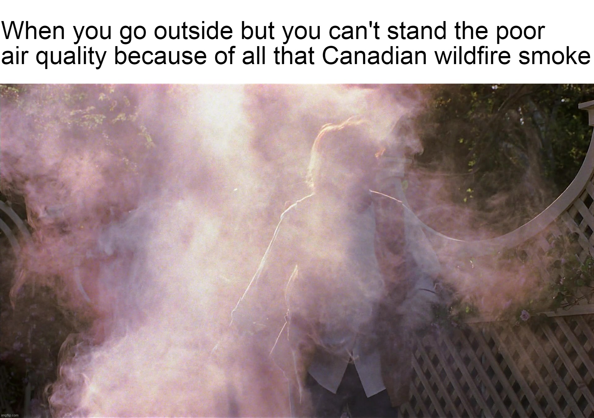 When you go outside but you can't stand the poor air quality because of all that Canadian wildfire smoke | image tagged in meme,memes,relatable,wildfires,smoke,canadian wildfires | made w/ Imgflip meme maker