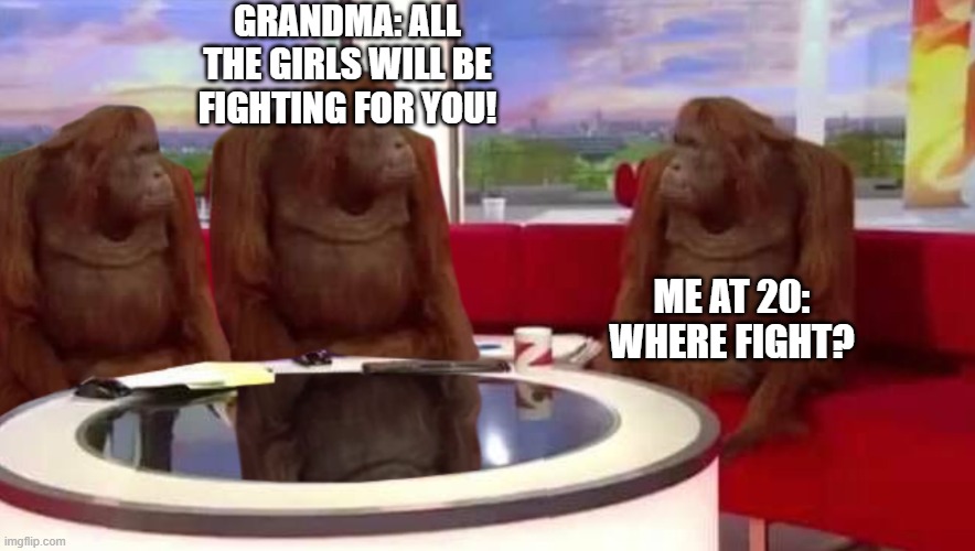 GRANDMA YOU LIED! | GRANDMA: ALL THE GIRLS WILL BE FIGHTING FOR YOU! ME AT 20: WHERE FIGHT? | image tagged in where monkey | made w/ Imgflip meme maker