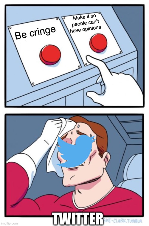Two Buttons | Make it so people can’t have opinions; Be cringe; TWITTER | image tagged in memes,two buttons | made w/ Imgflip meme maker