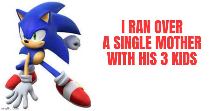 Sonic literally took his car to run over a family | I RAN OVER A SINGLE MOTHER WITH HIS 3 KIDS | image tagged in sonic says,sonic the hedgehog | made w/ Imgflip meme maker