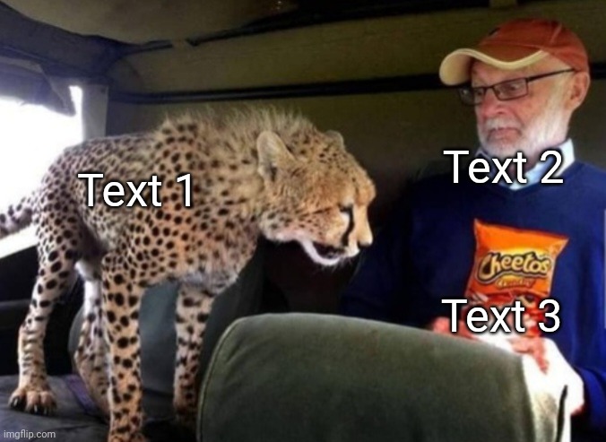 Cheetah wants Cheetos | Text 2; Text 1; Text 3 | image tagged in cheetah wants cheetos,cheetah,cheetos,cheetahs | made w/ Imgflip meme maker