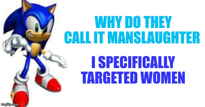 WHY DO THEY CALL IT MANSLAUGHTER; I SPECIFICALLY TARGETED WOMEN | image tagged in sonic the hedgehog,sonic says,just a joke | made w/ Imgflip meme maker