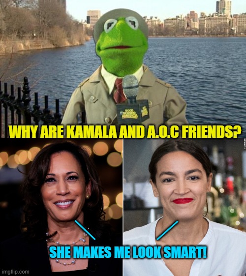 Low hanging fruit day. | WHY ARE KAMALA AND A.O.C FRIENDS? __; __; SHE MAKES ME LOOK SMART! | image tagged in kermit news report | made w/ Imgflip meme maker