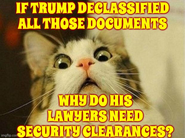 Trump Lies About EVERYTHING | IF TRUMP DECLASSIFIED ALL THOSE DOCUMENTS; WHY DO HIS LAWYERS NEED SECURITY CLEARANCES? | image tagged in memes,scared cat,scumbag trump,scumbag republicans,trump lies,lock him up | made w/ Imgflip meme maker