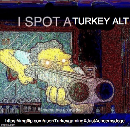 whats with the username lol | TURKEY ALT; https://imgflip.com/user/TurkeygamingXJustAcheemsdoge | image tagged in i spot a turkey alt | made w/ Imgflip meme maker