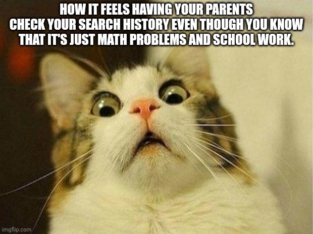 Its still pretty scary | HOW IT FEELS HAVING YOUR PARENTS CHECK YOUR SEARCH HISTORY EVEN THOUGH YOU KNOW THAT IT'S JUST MATH PROBLEMS AND SCHOOL WORK. | image tagged in memes,scared cat,search history,parents | made w/ Imgflip meme maker