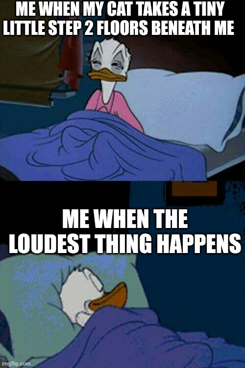 sleepy donald duck in bed | ME WHEN MY CAT TAKES A TINY LITTLE STEP 2 FLOORS BENEATH ME; ME WHEN THE LOUDEST THING HAPPENS | image tagged in sleepy donald duck in bed | made w/ Imgflip meme maker