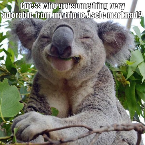 Smiling Koala | Guess who got something very adorable from my trip to Åsele marknad? | image tagged in smiling koala | made w/ Imgflip meme maker