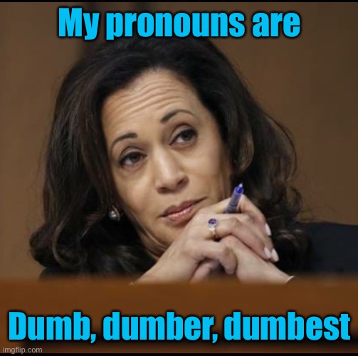 President of Vice | My pronouns are; Dumb, dumber, dumbest | image tagged in kamala harris,gender confusion | made w/ Imgflip meme maker