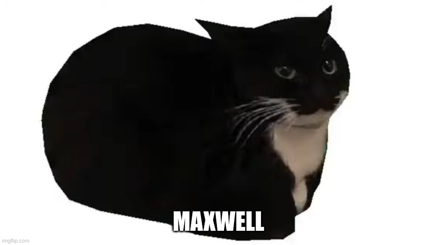 maxwell | MAXWELL | image tagged in funny | made w/ Imgflip meme maker