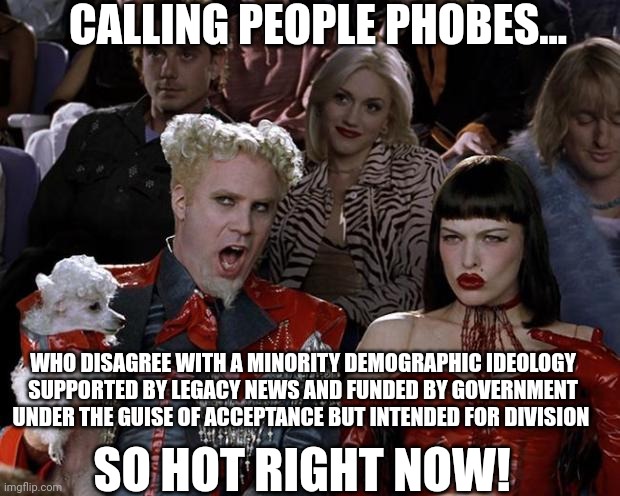 CALLING PEOPLE PHOBES... WHO DISAGREE WITH A MINORITY DEMOGRAPHIC IDEOLOGY SUPPORTED BY LEGACY NEWS AND FUNDED BY GOVERNMENT UNDER THE GUISE | made w/ Imgflip meme maker