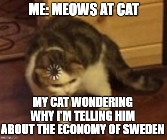 LOADING CAT | ME: MEOWS AT CAT; MY CAT WONDERING WHY I'M TELLING HIM ABOUT THE ECONOMY OF SWEDEN | image tagged in loading cat,memes,meme,funny memes,funny,cat | made w/ Imgflip meme maker