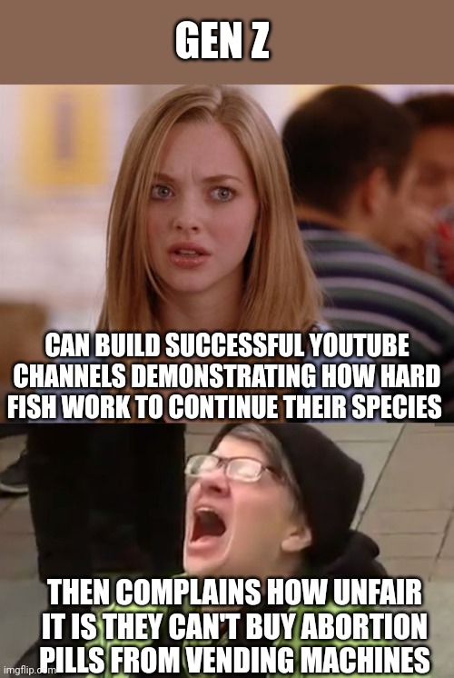 Irony..... learn it.... live it | GEN Z; CAN BUILD SUCCESSFUL YOUTUBE CHANNELS DEMONSTRATING HOW HARD FISH WORK TO CONTINUE THEIR SPECIES; THEN COMPLAINS HOW UNFAIR IT IS THEY CAN'T BUY ABORTION PILLS FROM VENDING MACHINES | image tagged in liberal logic,gen z,irony,what if i told you,hilarious,female logic | made w/ Imgflip meme maker