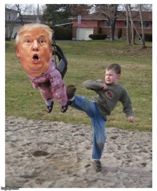 KICK TRUMP OUT and SWING | image tagged in kick trump out and swing | made w/ Imgflip meme maker