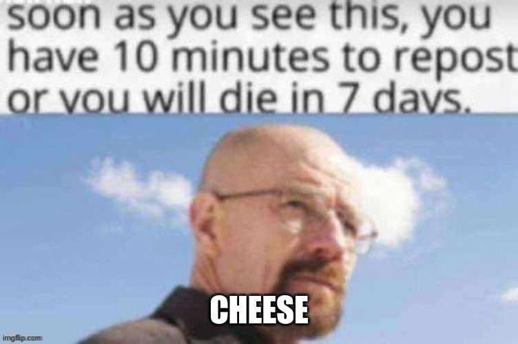 CHEESE | made w/ Imgflip meme maker
