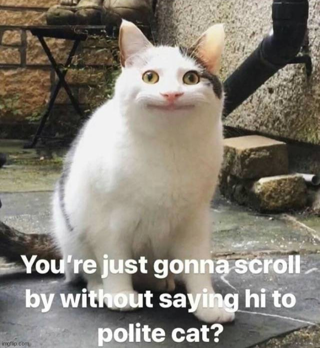 image tagged in repost | made w/ Imgflip meme maker