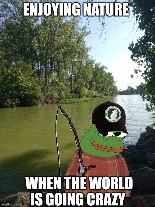 Nature pepe | ENJOYING NATURE; WHEN THE WORLD IS GOING CRAZY | image tagged in pepe the frog | made w/ Imgflip meme maker