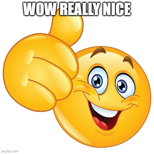 Thumbs up bitches | WOW REALLY NICE | image tagged in thumbs up bitches | made w/ Imgflip meme maker