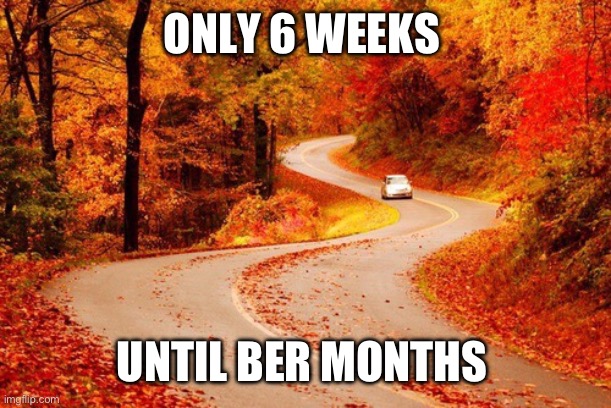 Only 6 weeks until Ber Months | ONLY 6 WEEKS; UNTIL BER MONTHS | image tagged in autumn road | made w/ Imgflip meme maker