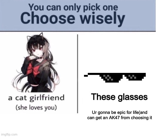 Choose wisely | These glasses; Ur gonna be epic for life(and can get an AK47 from choosing it | image tagged in choose wisely | made w/ Imgflip meme maker