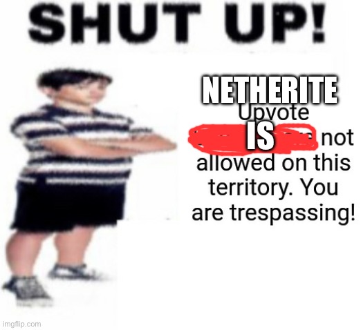 Upvote beggar | NETHERITE IS | image tagged in upvote beggar | made w/ Imgflip meme maker