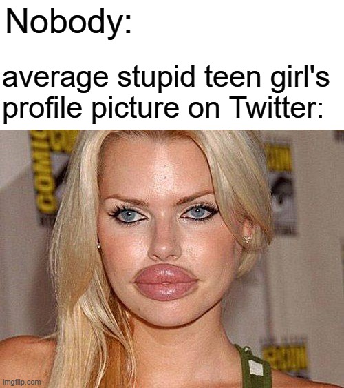 Big Lips | Nobody:; average stupid teen girl's profile picture on Twitter: | image tagged in bitch | made w/ Imgflip meme maker