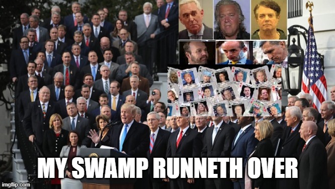 Donald Trump Swamp | MY SWAMP RUNNETH OVER | image tagged in trump,swamp,donald trump,congress,election 2024 | made w/ Imgflip meme maker