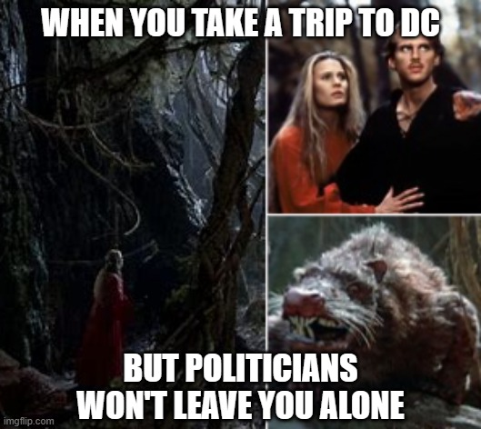 So, about that swamp? | WHEN YOU TAKE A TRIP TO DC; BUT POLITICIANS WON'T LEAVE YOU ALONE | made w/ Imgflip meme maker