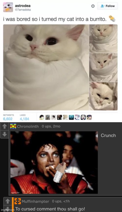 let the purrito live man… | image tagged in funny,memes,relatable,cat,burrito,michael jackson popcorn | made w/ Imgflip meme maker