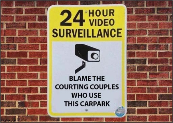 Why Big Brother Is Watching You ! | image tagged in big brother,surveillence,courting couples | made w/ Imgflip meme maker