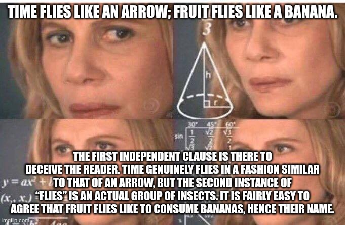 makes sense | TIME FLIES LIKE AN ARROW; FRUIT FLIES LIKE A BANANA. THE FIRST INDEPENDENT CLAUSE IS THERE TO DECEIVE THE READER. TIME GENUINELY FLIES IN A FASHION SIMILAR TO THAT OF AN ARROW, BUT THE SECOND INSTANCE OF “FLIES” IS AN ACTUAL GROUP OF INSECTS. IT IS FAIRLY EASY TO AGREE THAT FRUIT FLIES LIKE TO CONSUME BANANAS, HENCE THEIR NAME. | image tagged in math lady/confused lady | made w/ Imgflip meme maker