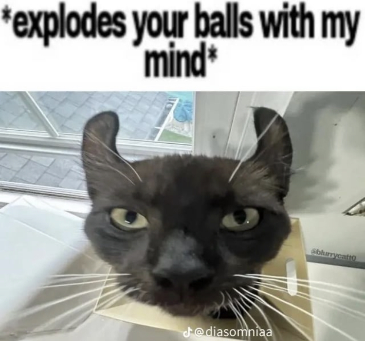 explodes your balls with my mind Blank Meme Template