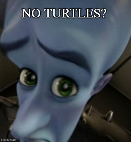 No turtles | NO TURTLES? | image tagged in megamind no bitches | made w/ Imgflip meme maker